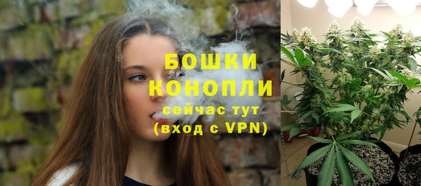 PSILOCYBIN Нязепетровск