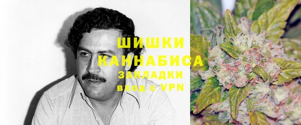 PSILOCYBIN Нязепетровск