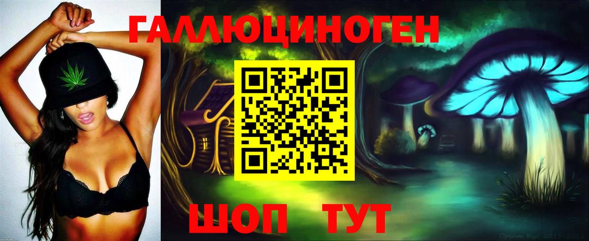 Псилоцибиновые грибы Psilocybine cubensis Ржев